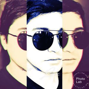 Meet your Posher, Lion